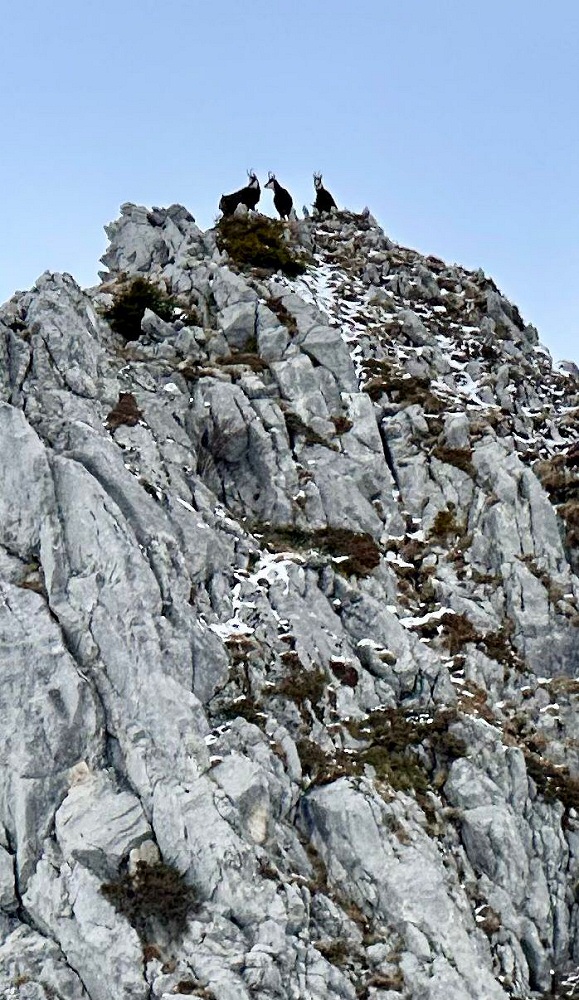 WhatsApp Image 2026 01 25 at 16.43.29